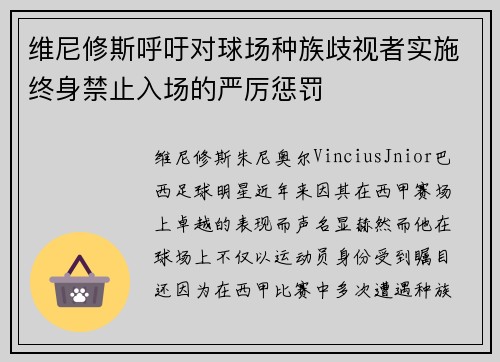 维尼修斯呼吁对球场种族歧视者实施终身禁止入场的严厉惩罚 维尼修斯呼吁对球场种族歧视者实施终身禁止入场的严厉惩罚